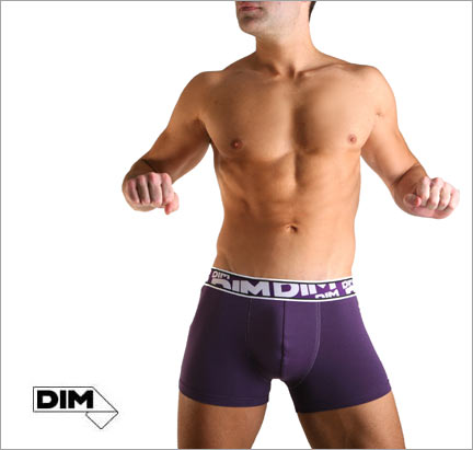 boxer dim